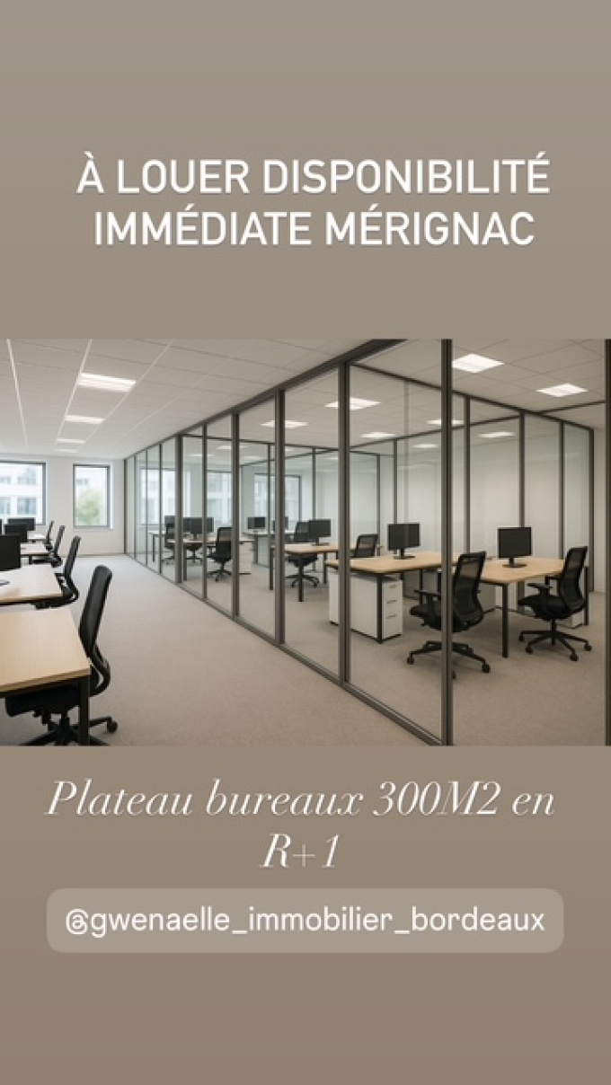 Location Immobilier Professionnel Local commercial Mérignac (33700)