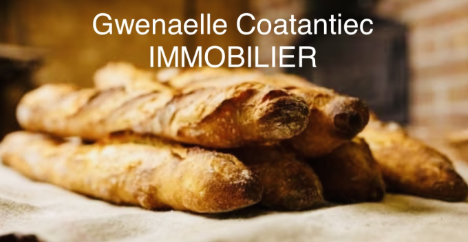 Vente Immobilier Professionnel Cession de droit au bail Saint-Médard-en-Jalles (33160)